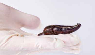 Kem Leech để tăng thành viên